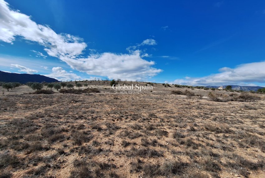 Resale - Grond -
Salinas