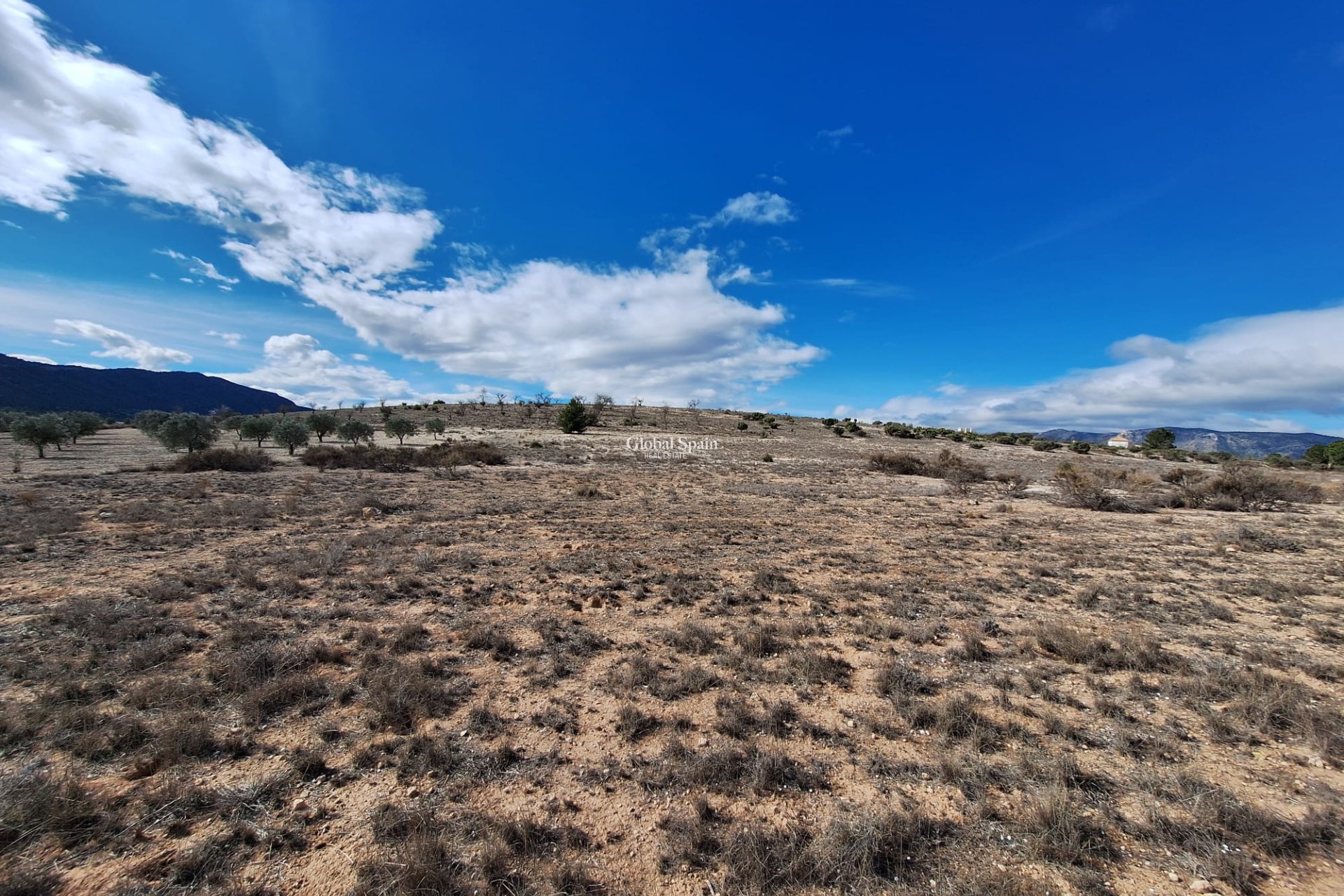 Resale - Grond -
Salinas