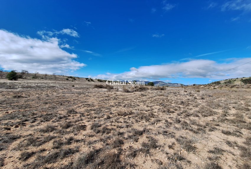 Resale - Grond -
Salinas