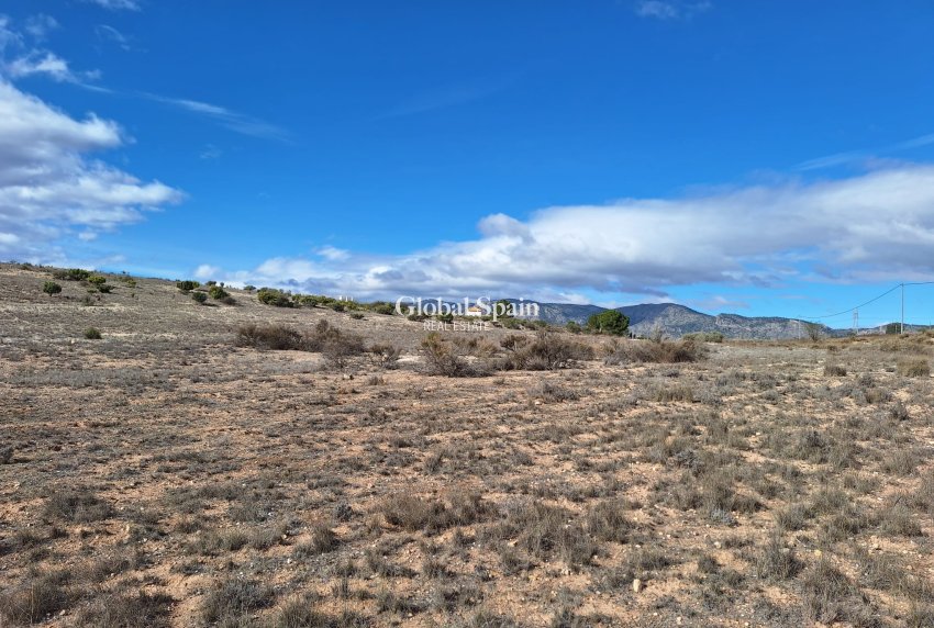 Resale - Grond -
Salinas