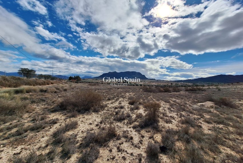 Resale - Grond -
Salinas