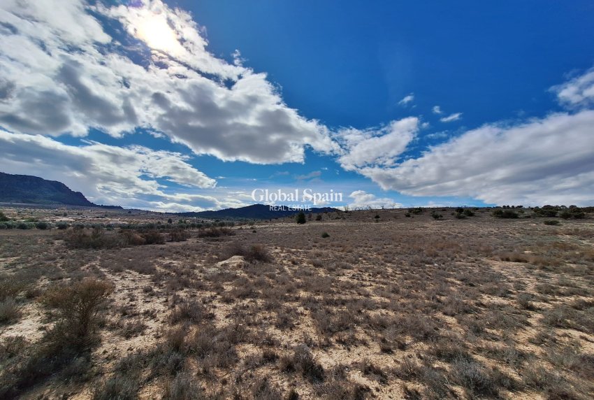 Resale - Grond -
Salinas