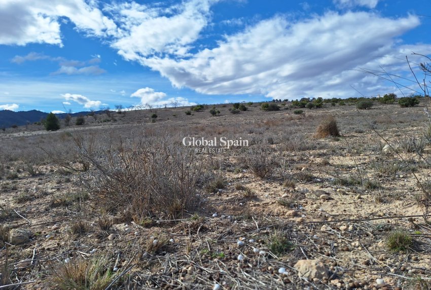 Resale - Grond -
Salinas