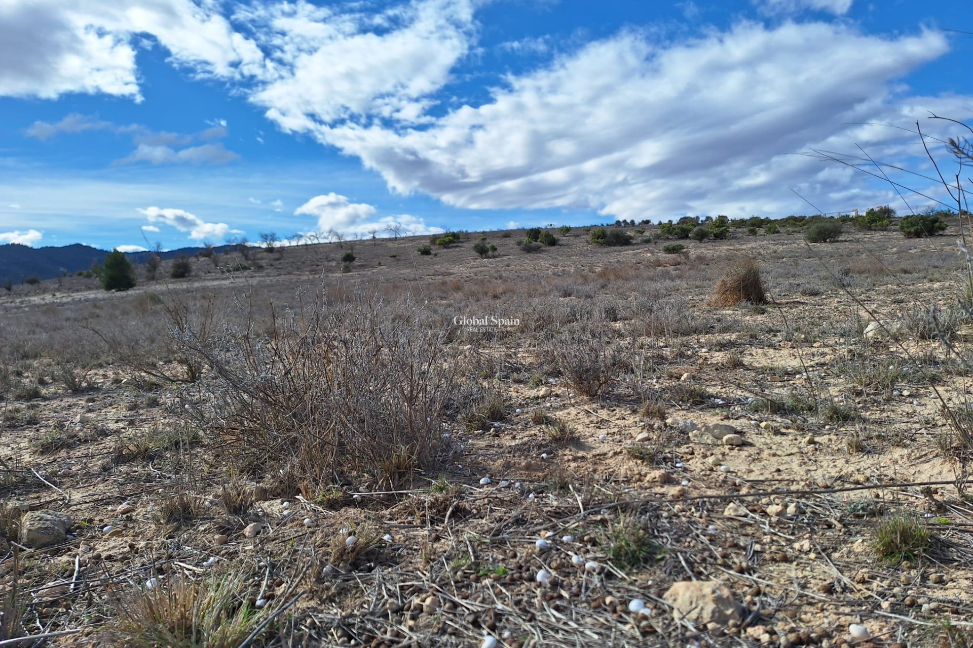 Resale - Grond -
Salinas