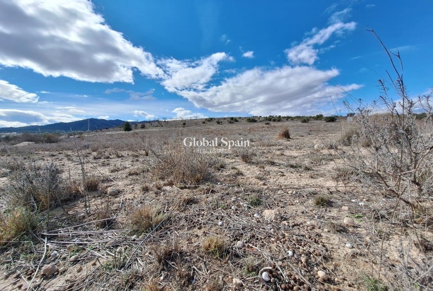 Resale - Grond -
Salinas