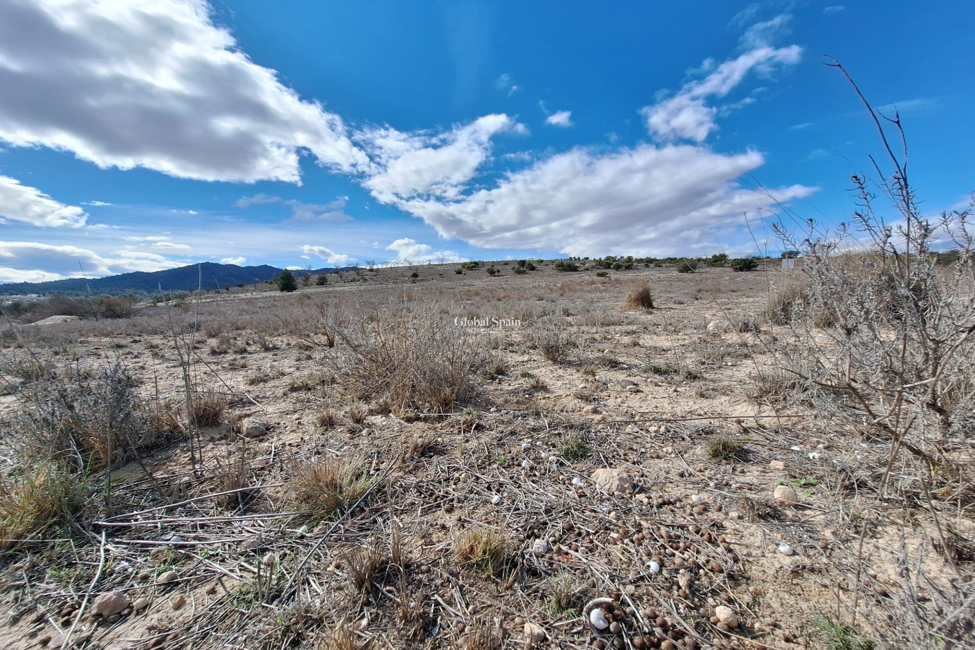 Resale - Grond -
Salinas