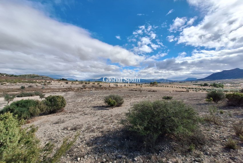 Resale - Grond -
Salinas