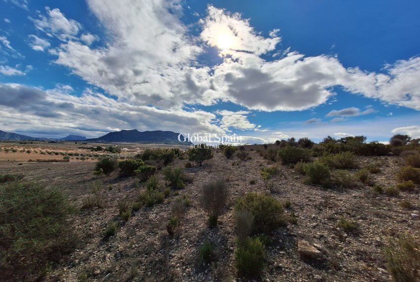 Resale - Grond -
Salinas