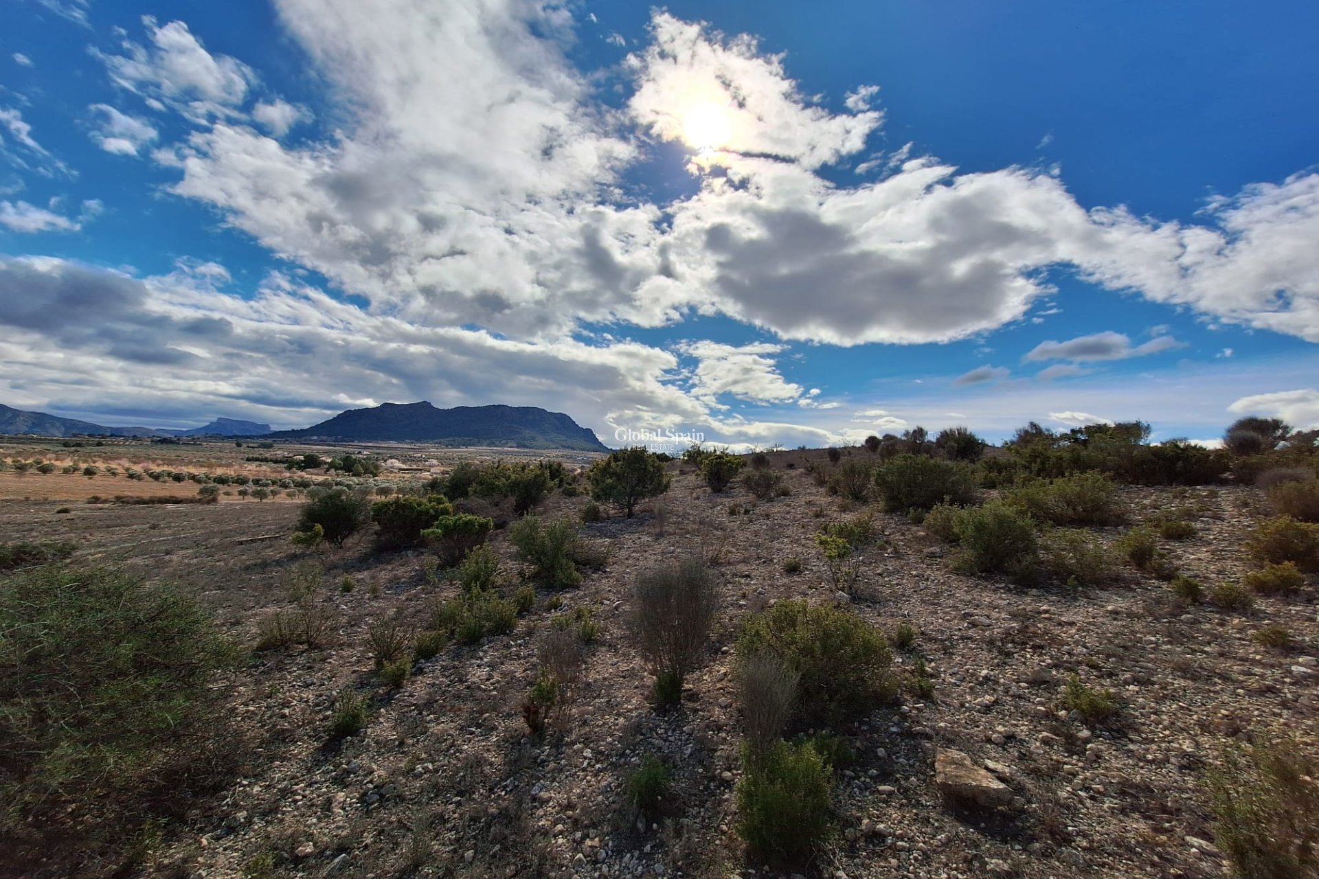 Resale - Grond -
Salinas