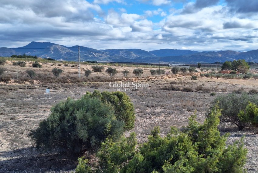 Resale - Grond -
Salinas