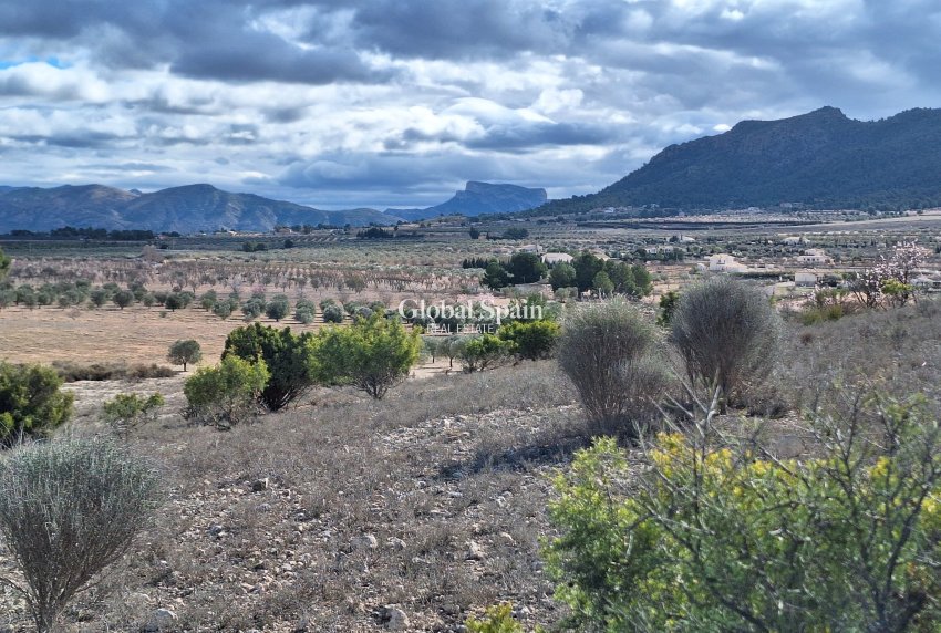 Resale - Grond -
Salinas