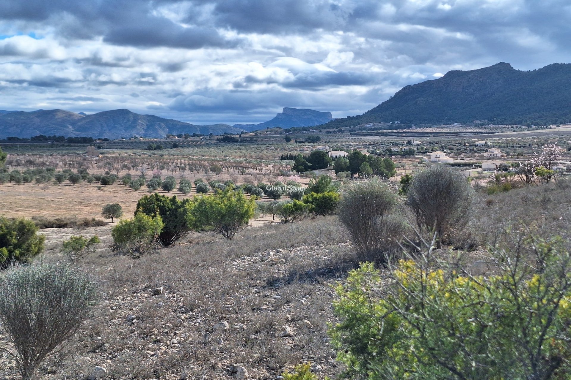 Resale - Grond -
Salinas