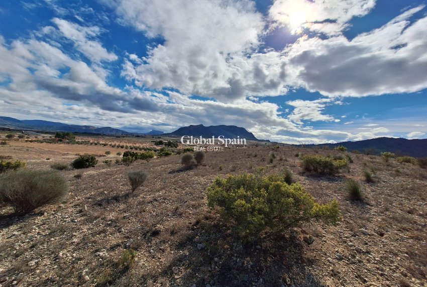 Resale - Grond -
Salinas