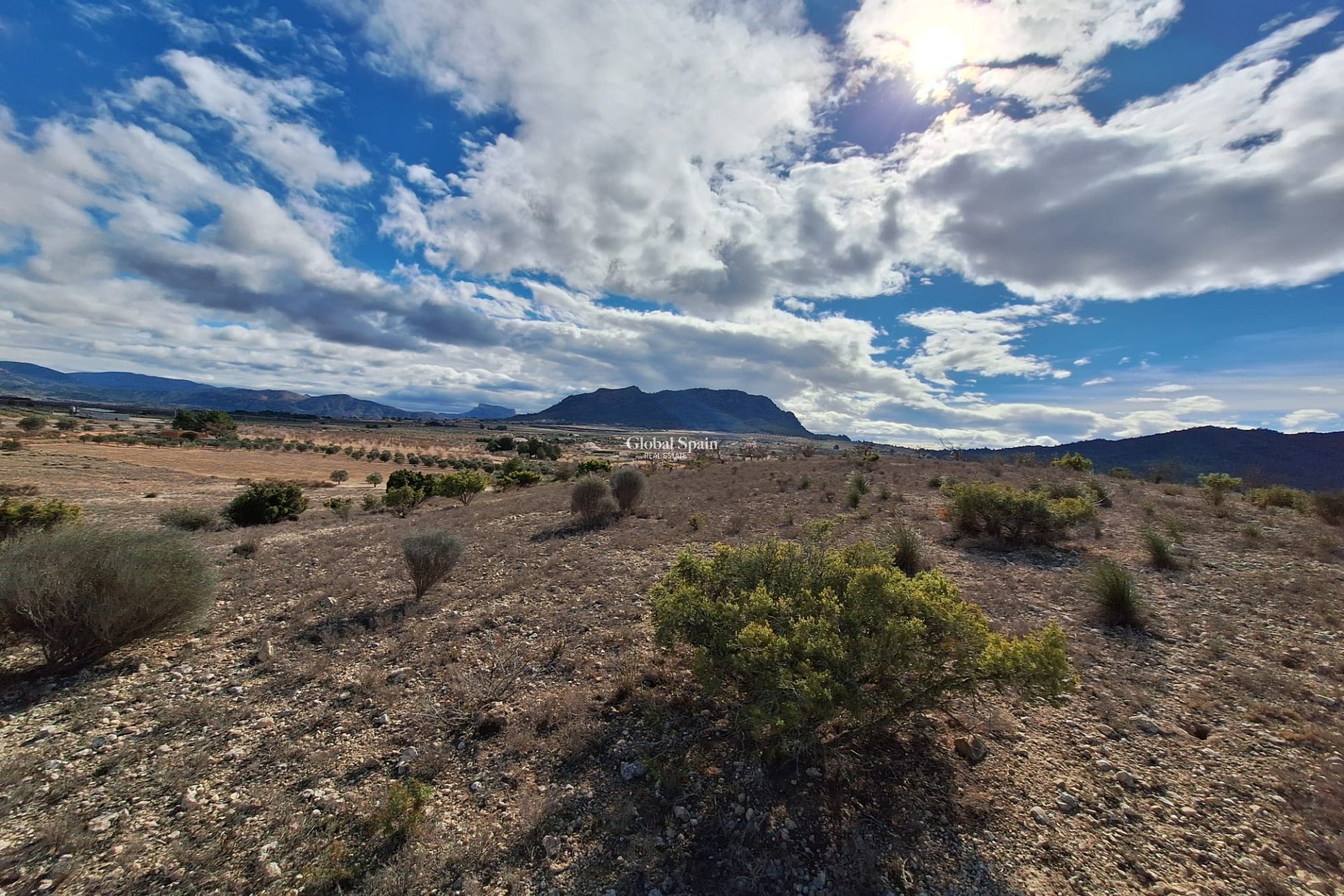 Resale - Grond -
Salinas