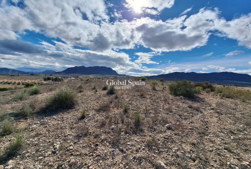 Resale - Grond -
Salinas