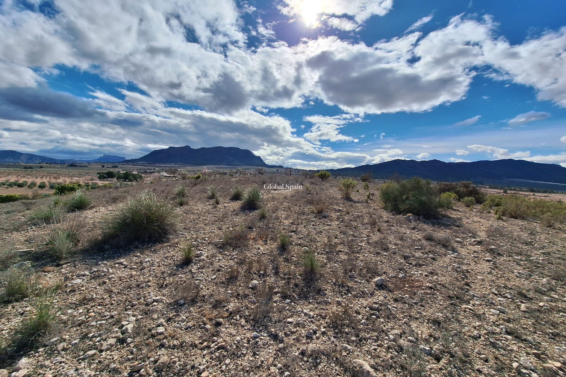 Resale - Grond -
Salinas