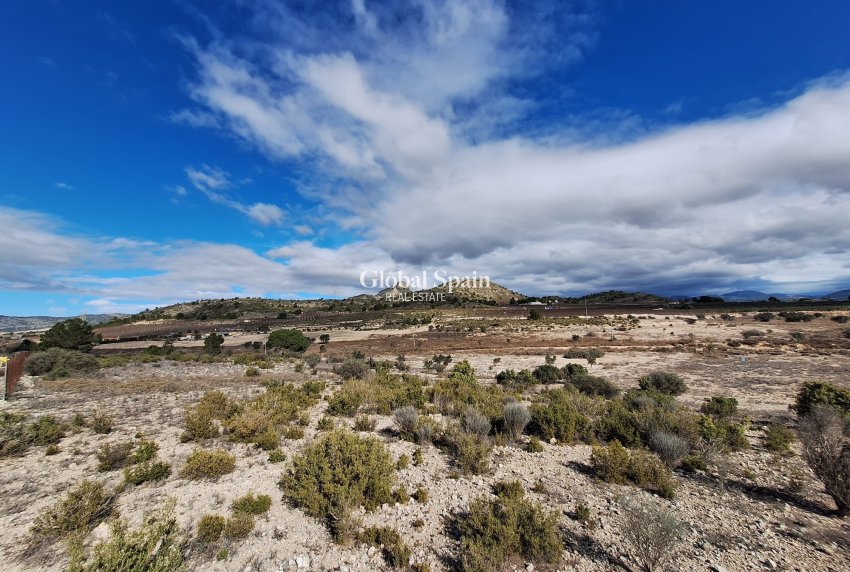 Resale - Grond -
Salinas