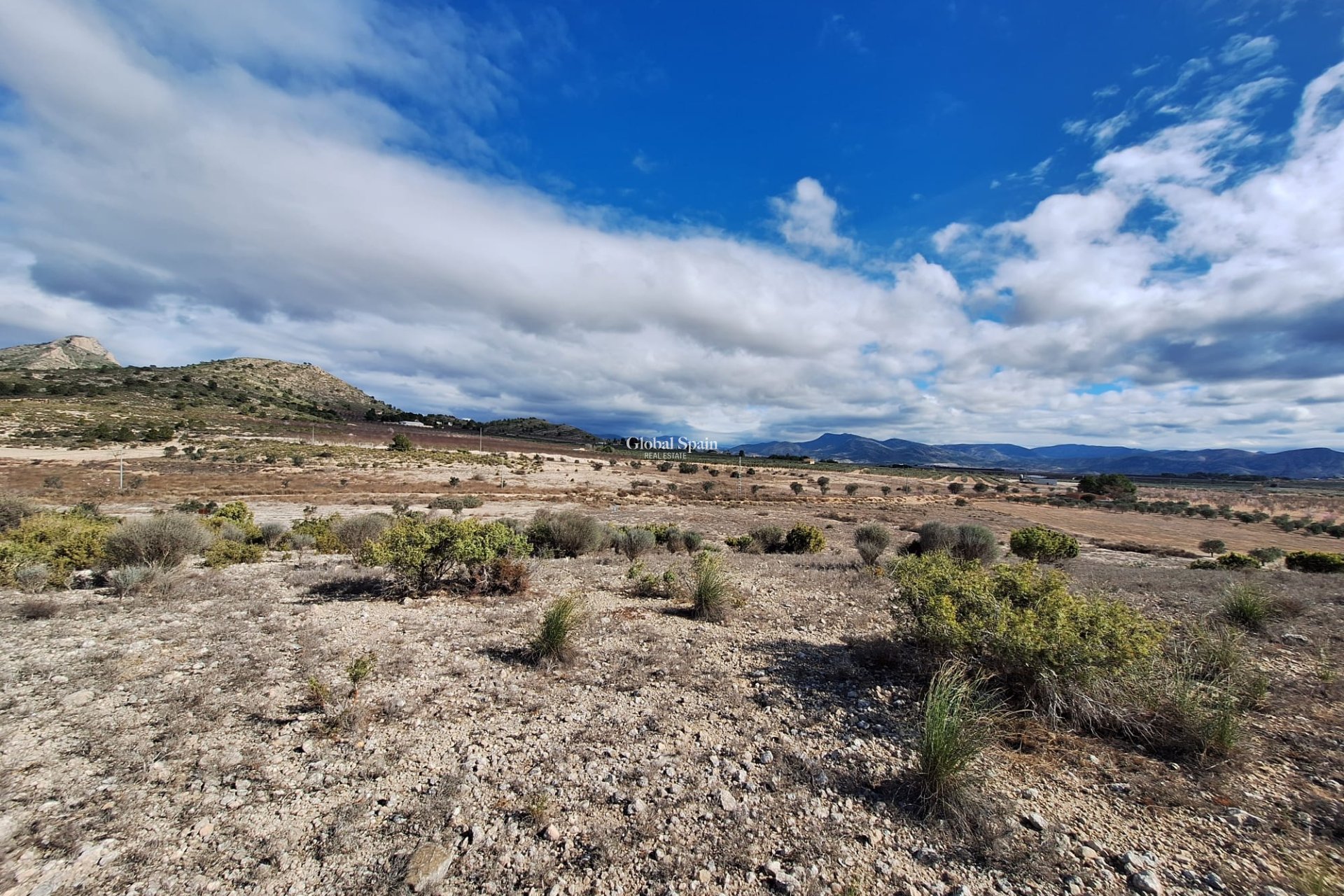 Resale - Grond -
Salinas