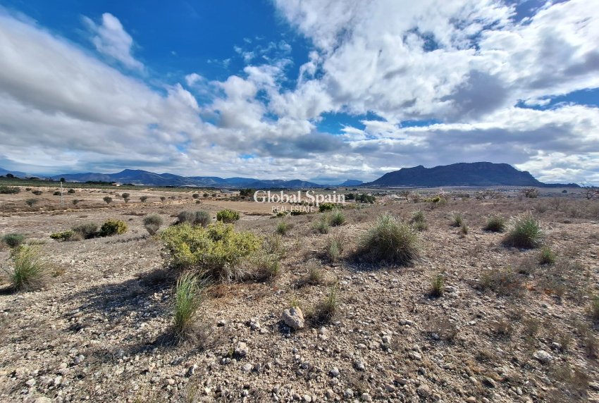 Resale - Grond -
Salinas