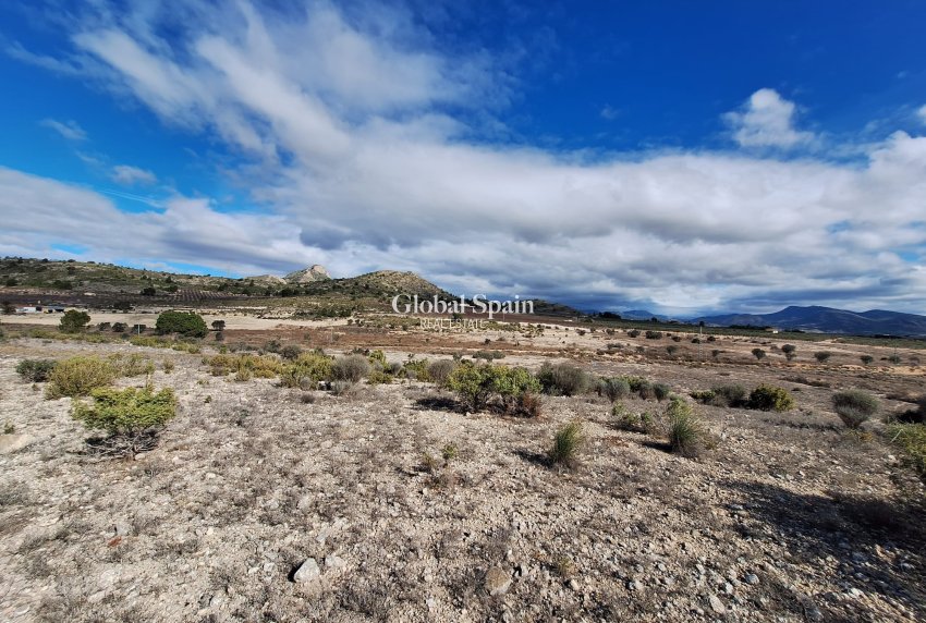 Resale - Grond -
Salinas