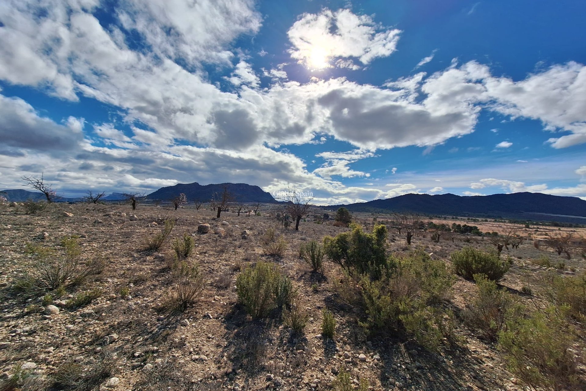 Resale - Grond -
Salinas