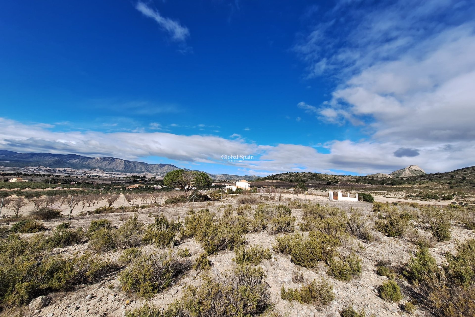 Resale - Grond -
Salinas