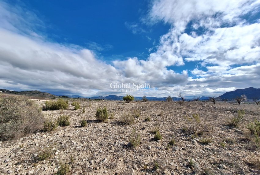 Resale - Grond -
Salinas