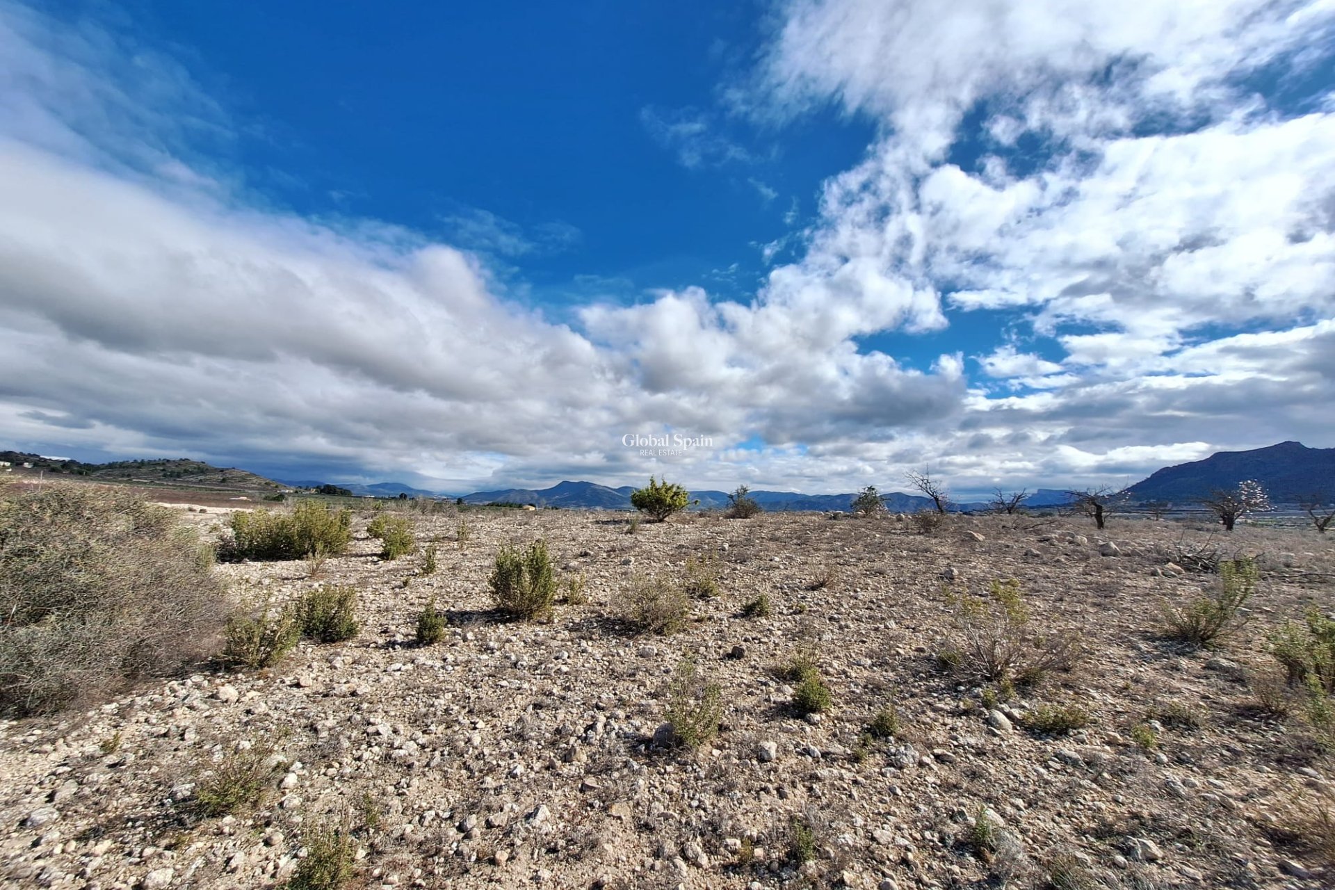 Resale - Grond -
Salinas