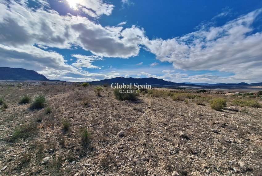 Resale - Grond -
Salinas