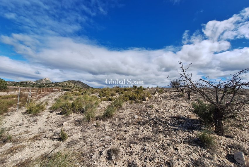 Resale - Grond -
Salinas