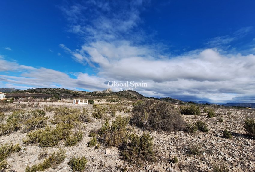 Resale - Grond -
Salinas