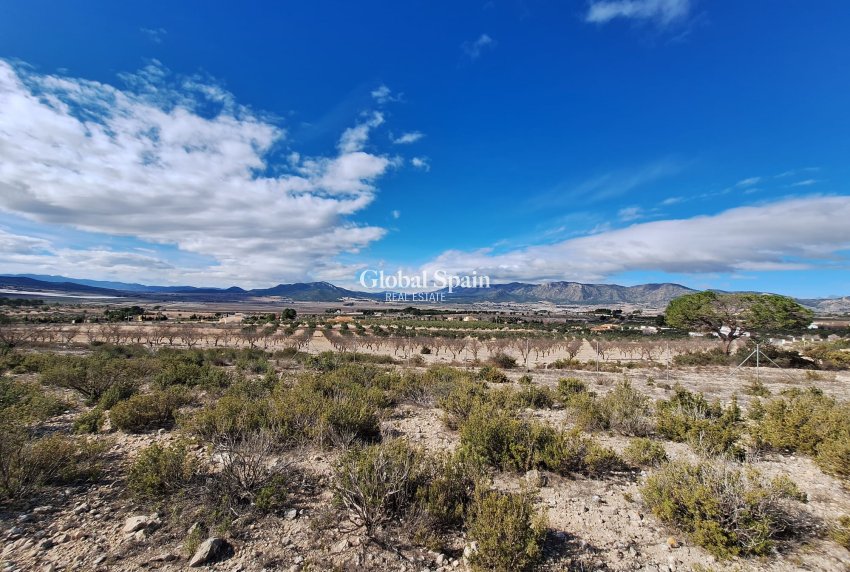 Resale - Grond -
Salinas