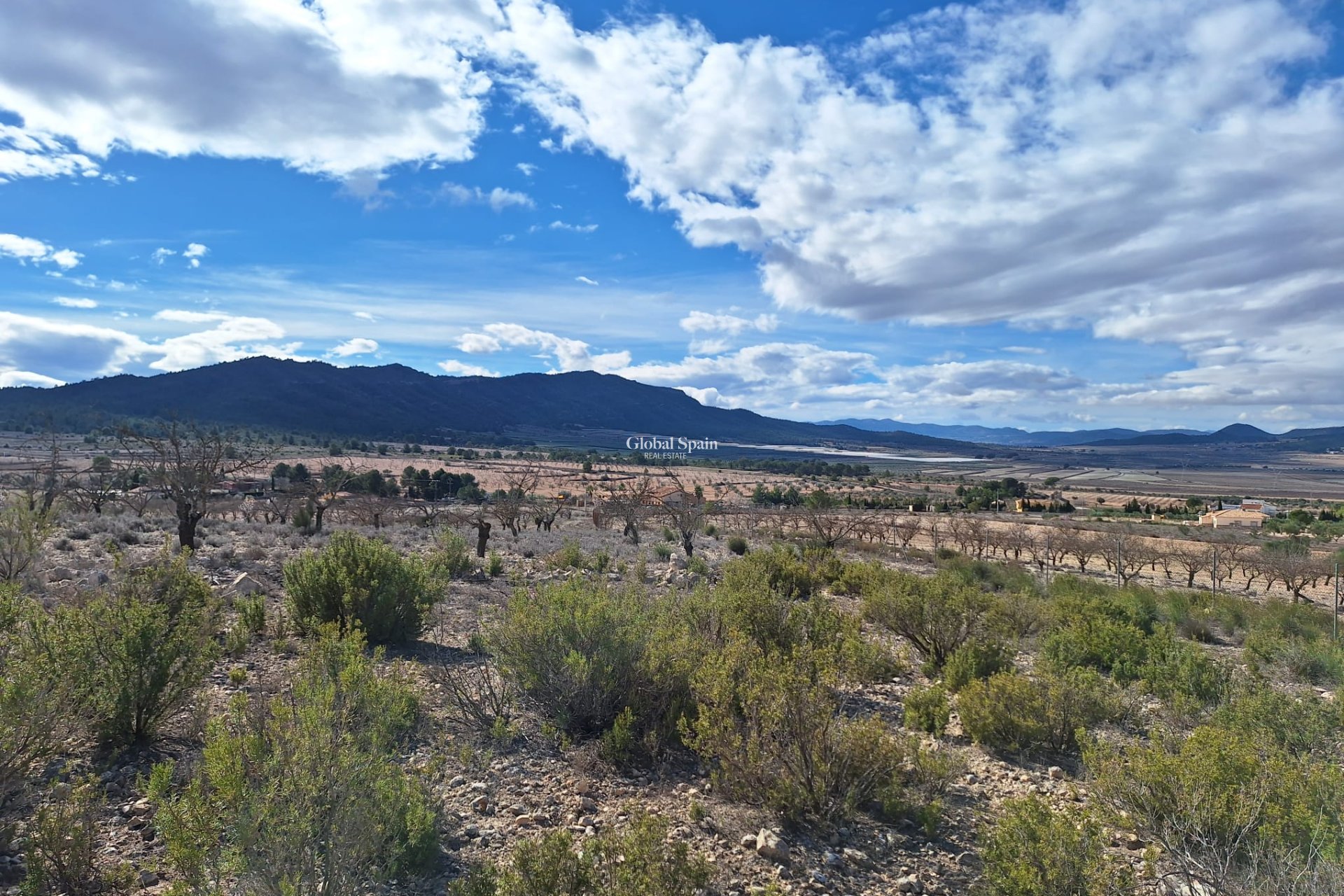 Resale - Grond -
Salinas