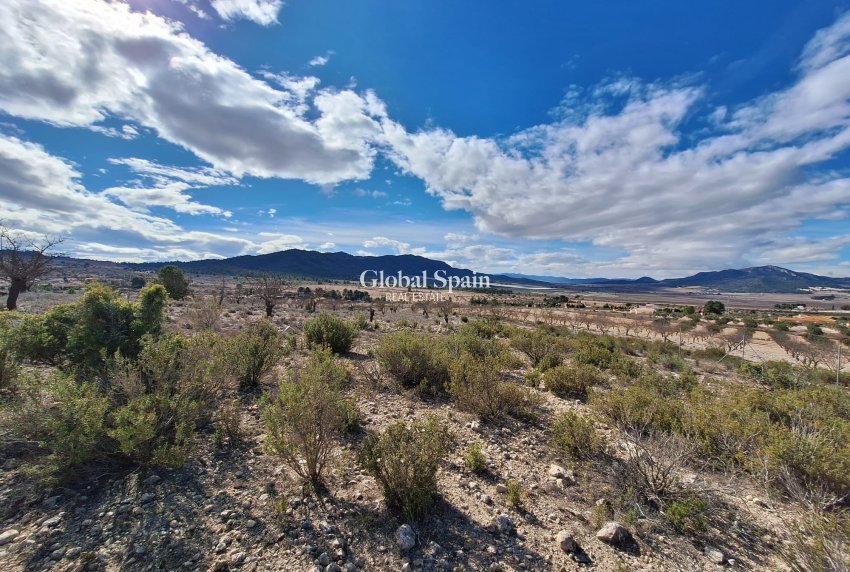 Resale - Grond -
Salinas