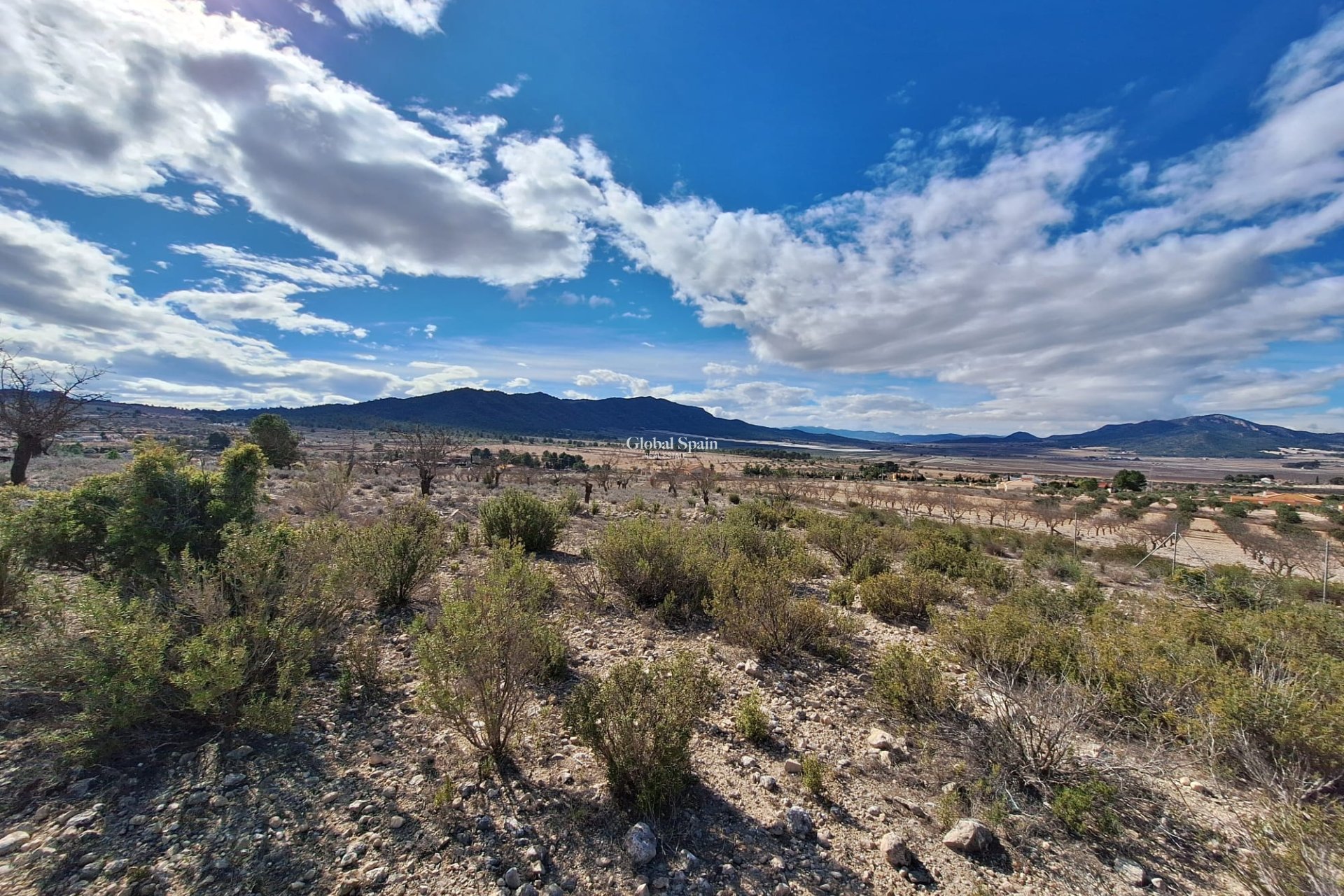 Resale - Grond -
Salinas