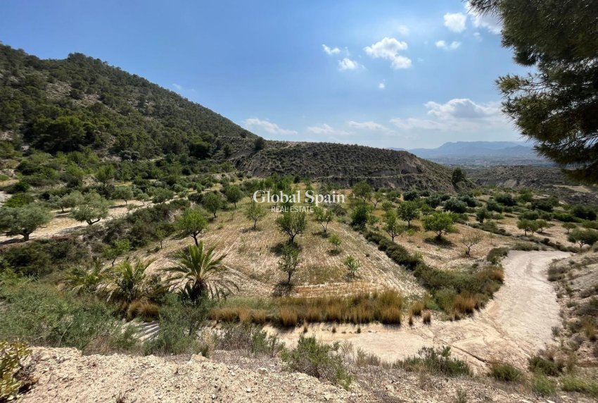 Resale - HOUSE -
ABANILLA - El Partidor