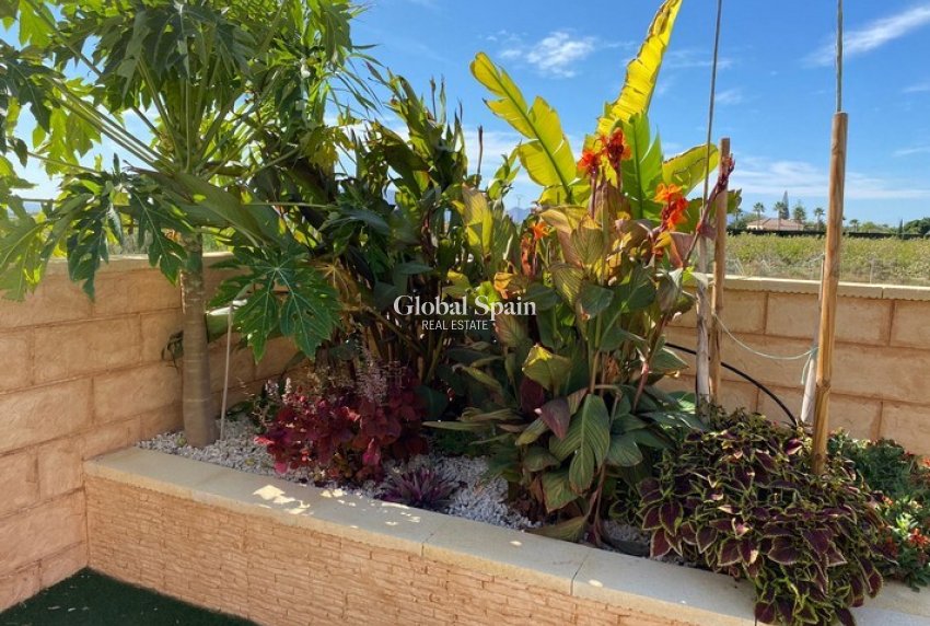 Resale - HOUSE -
ALBATERA - Inland