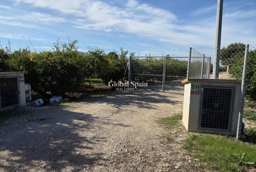 Resale - HOUSE -
ALBATERA - Inland