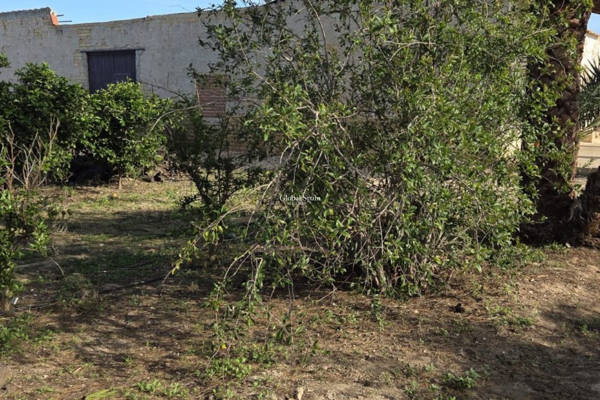 Resale - HOUSE -
ALBATERA - Inland