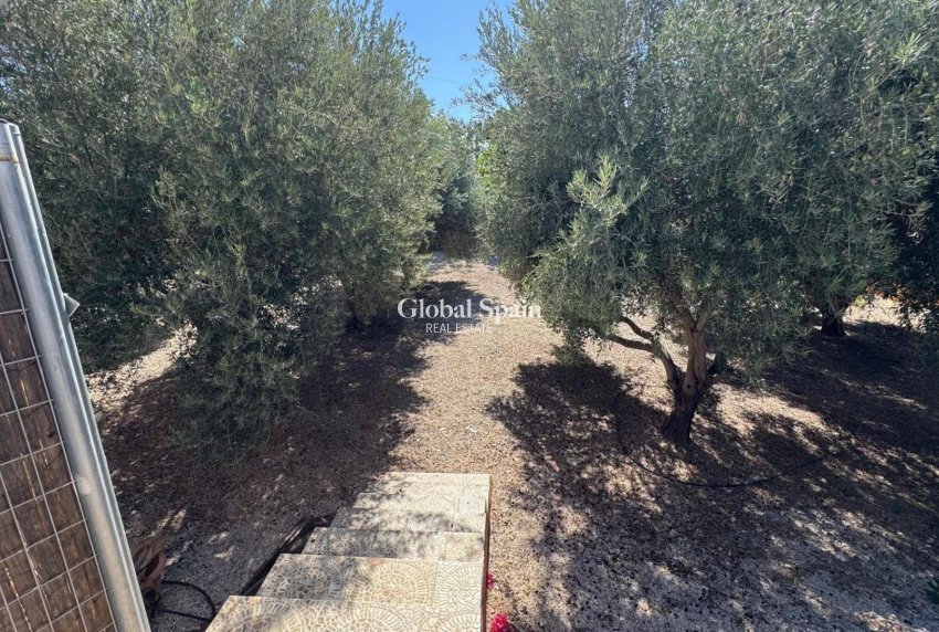 Resale - HOUSE -
ALBATERA - Inland