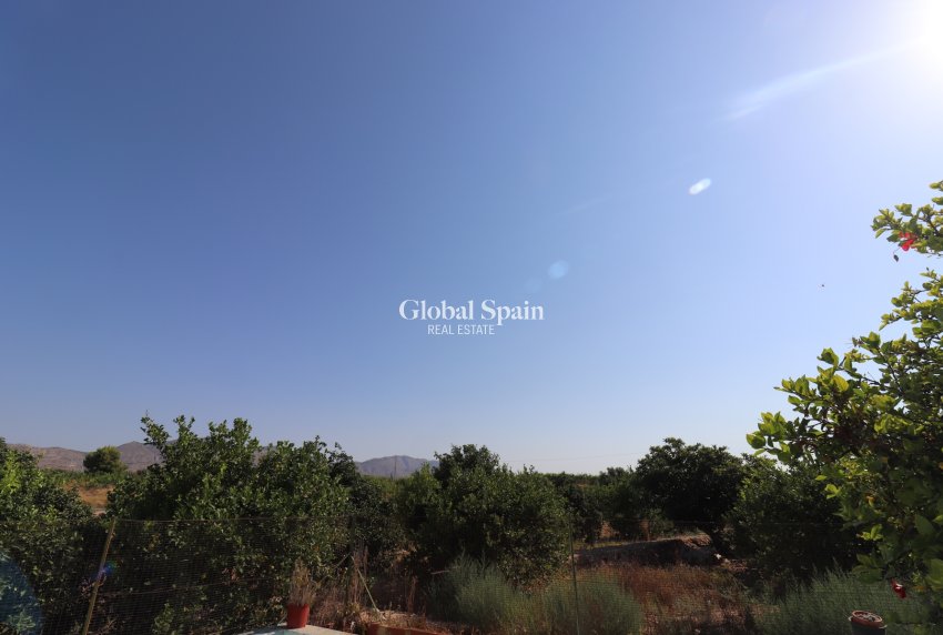 Resale - HOUSE -
ALBATERA