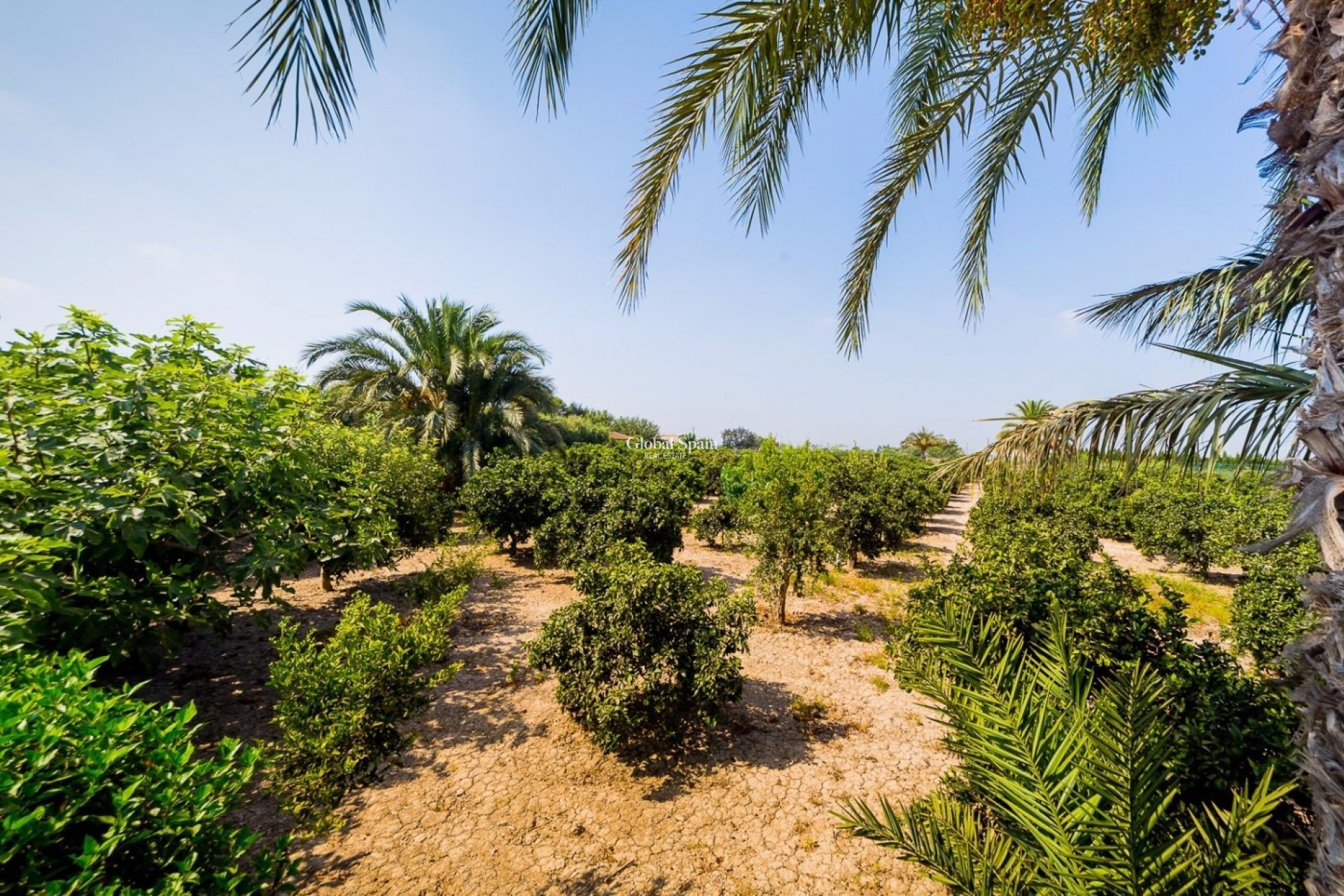 Resale - HOUSE -
ALMORADÍ - Camino De Catral