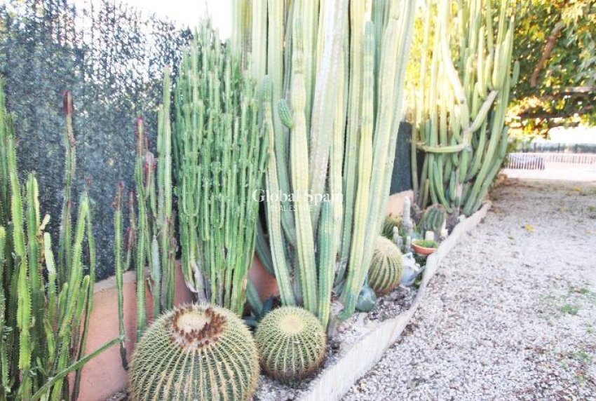 Resale - HOUSE -
ALMORADÍ - Comunidad Valenciana