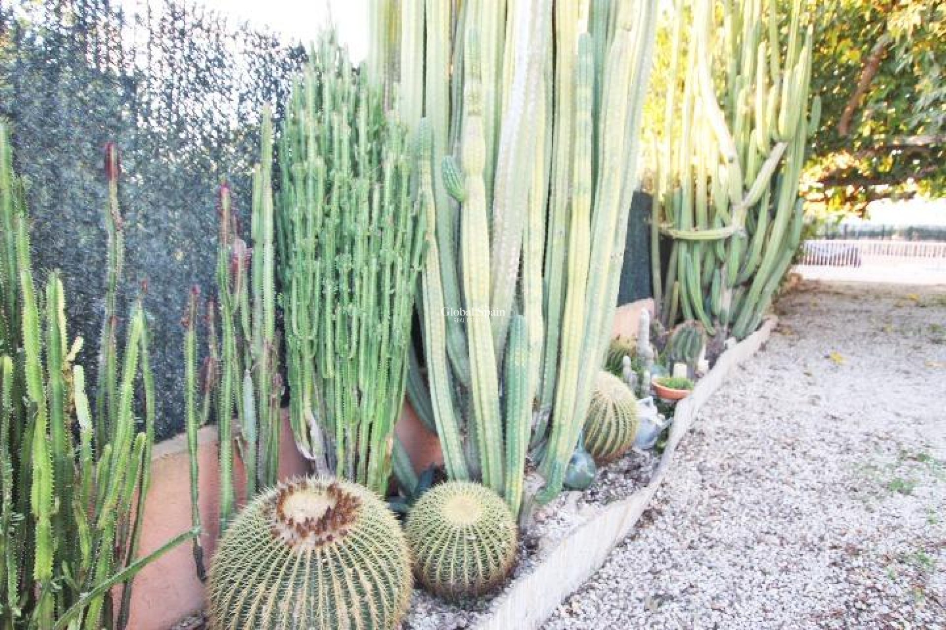 Resale - HOUSE -
ALMORADÍ - Comunidad Valenciana