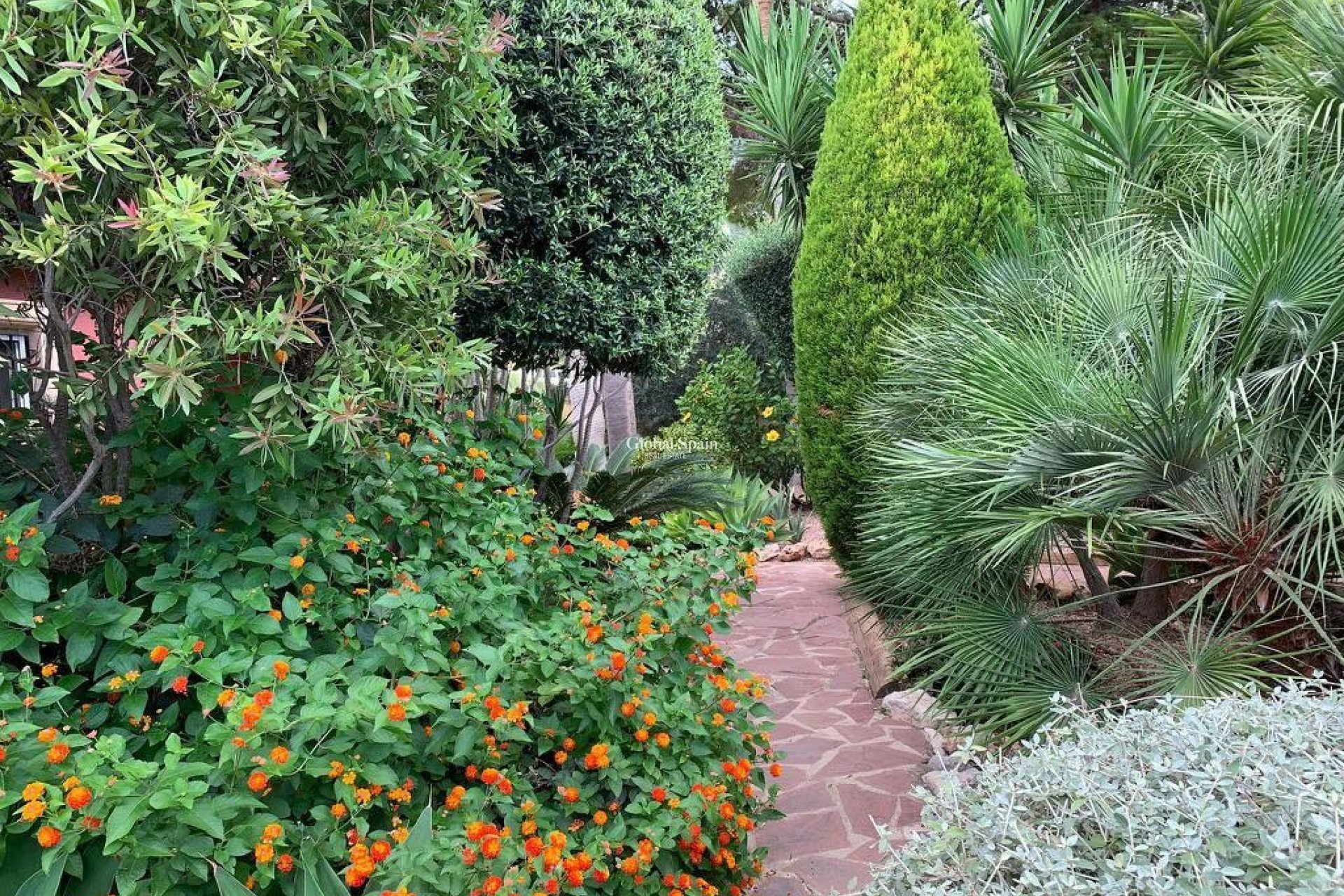 Resale - HOUSE -
ALTEA - ALTEA HILLS