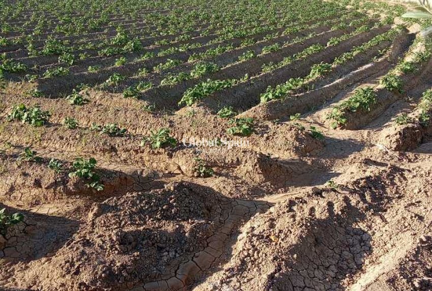 Resale - HOUSE -
ARNEVA - LOS DESAMPARADOS