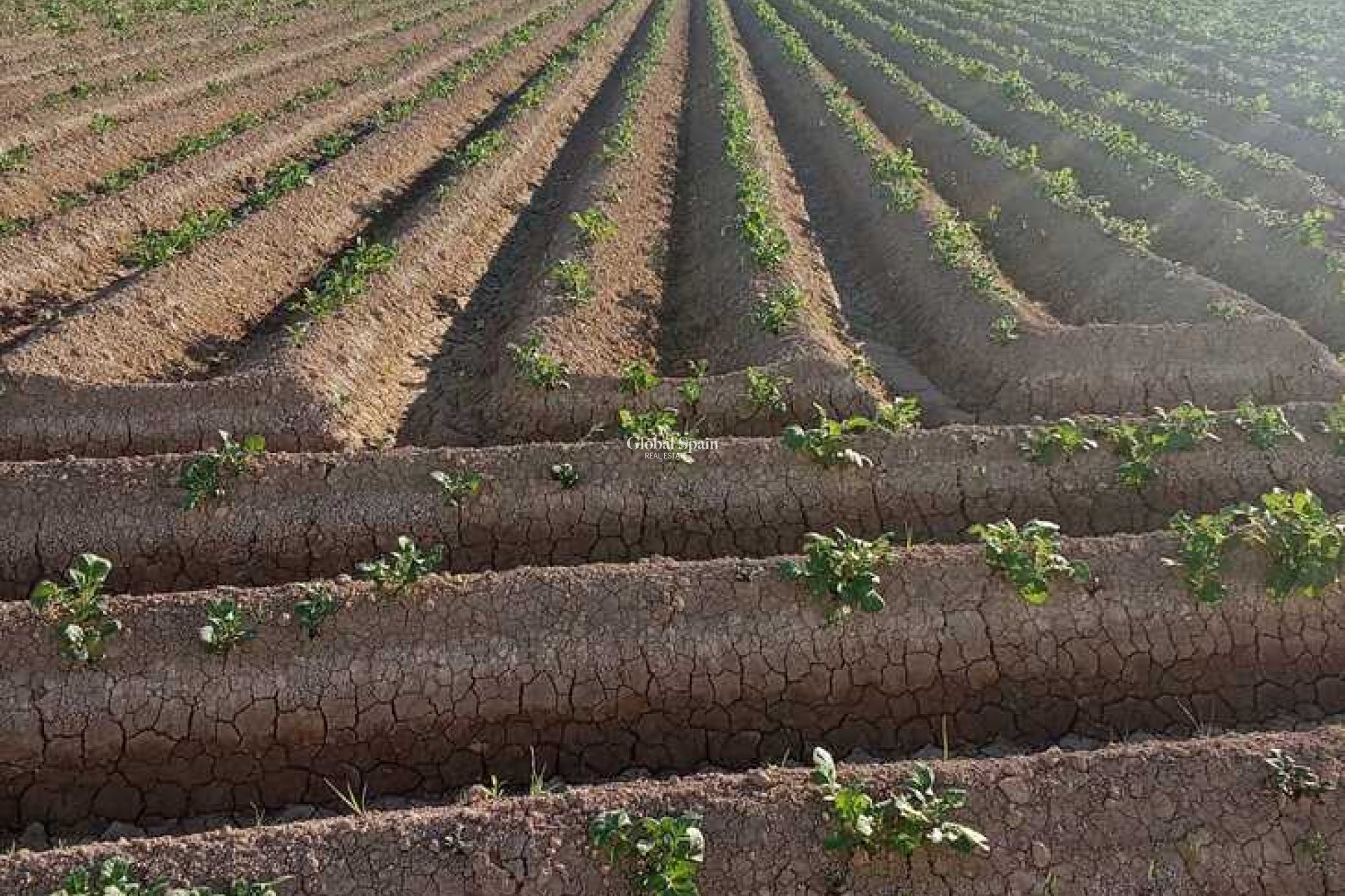 Resale - HOUSE -
ARNEVA - LOS DESAMPARADOS