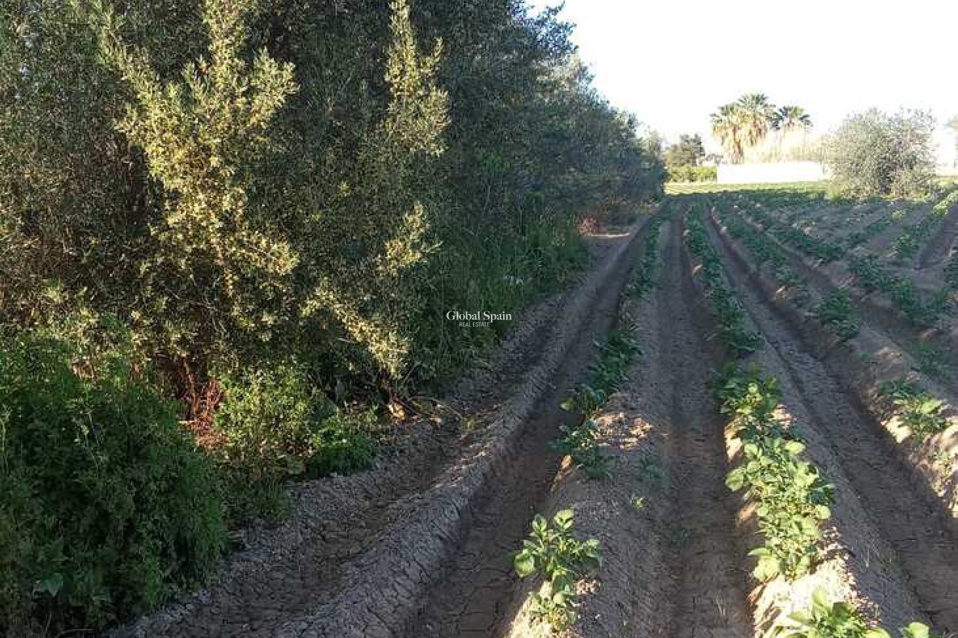 Resale - HOUSE -
ARNEVA - LOS DESAMPARADOS