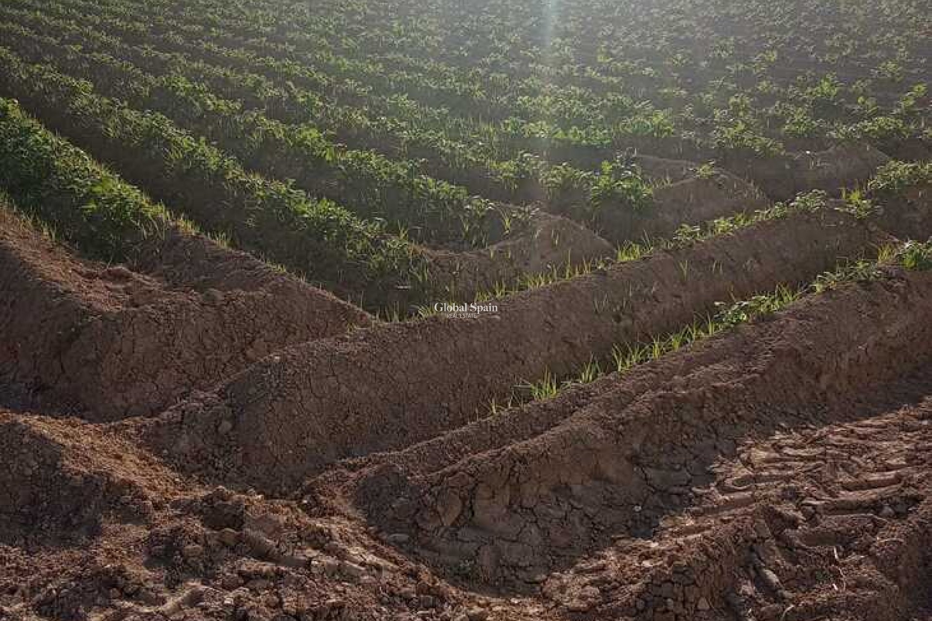 Resale - HOUSE -
ARNEVA - LOS DESAMPARADOS