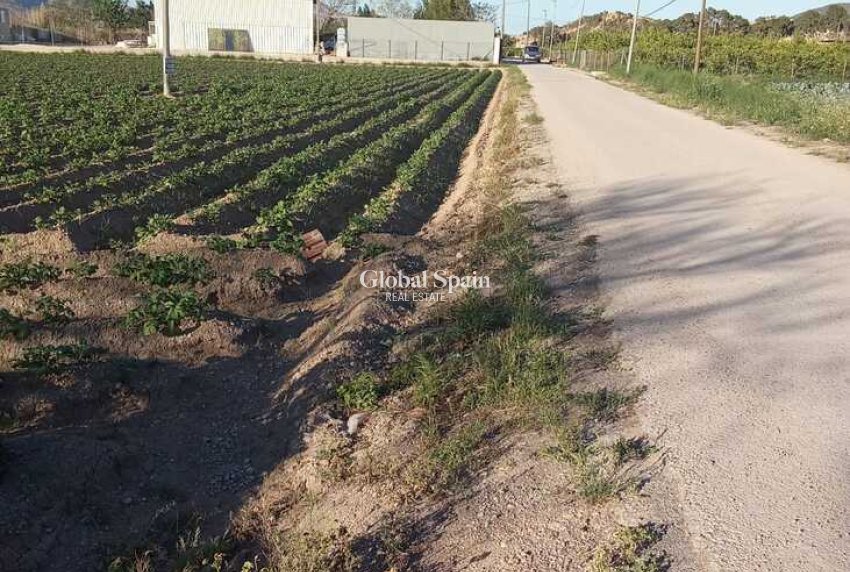 Resale - HOUSE -
ARNEVA - LOS DESAMPARADOS